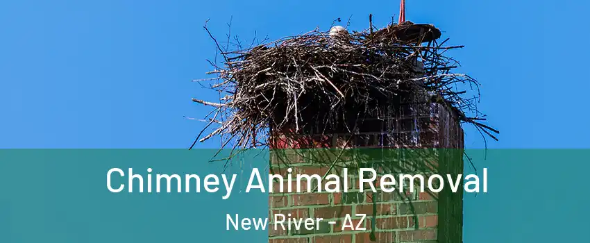  Chimney Animal Removal New River - AZ