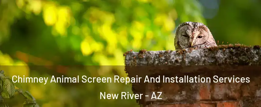  Chimney Animal Screen Repair And Installation Services New River - AZ