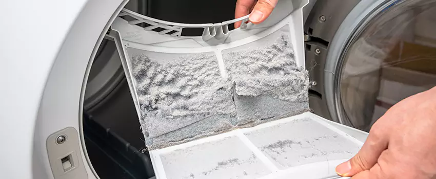 Best Dryer Lint Removal Company in New River, Arizona