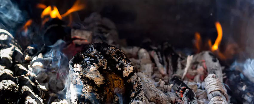 Creosote Removal Experts in New River, AZ