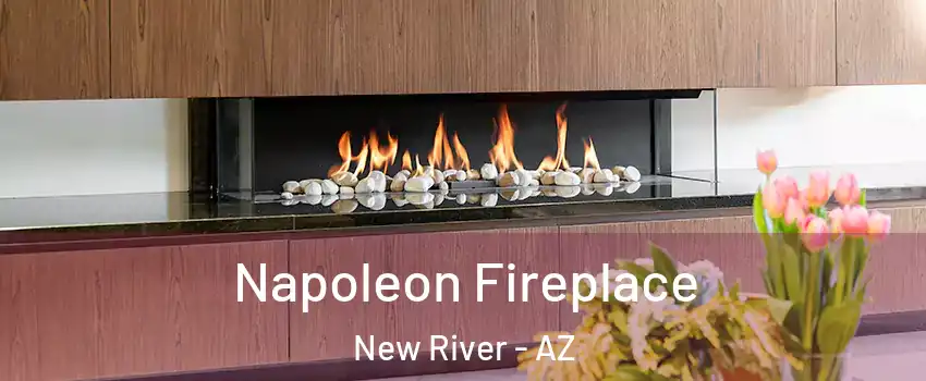  Napoleon Fireplace New River - AZ